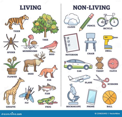 living and non living organisms.